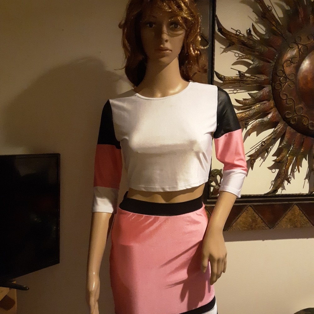 🎉NWT! Pink 2pc Crop Top & Skirt Set Sz Small🎉